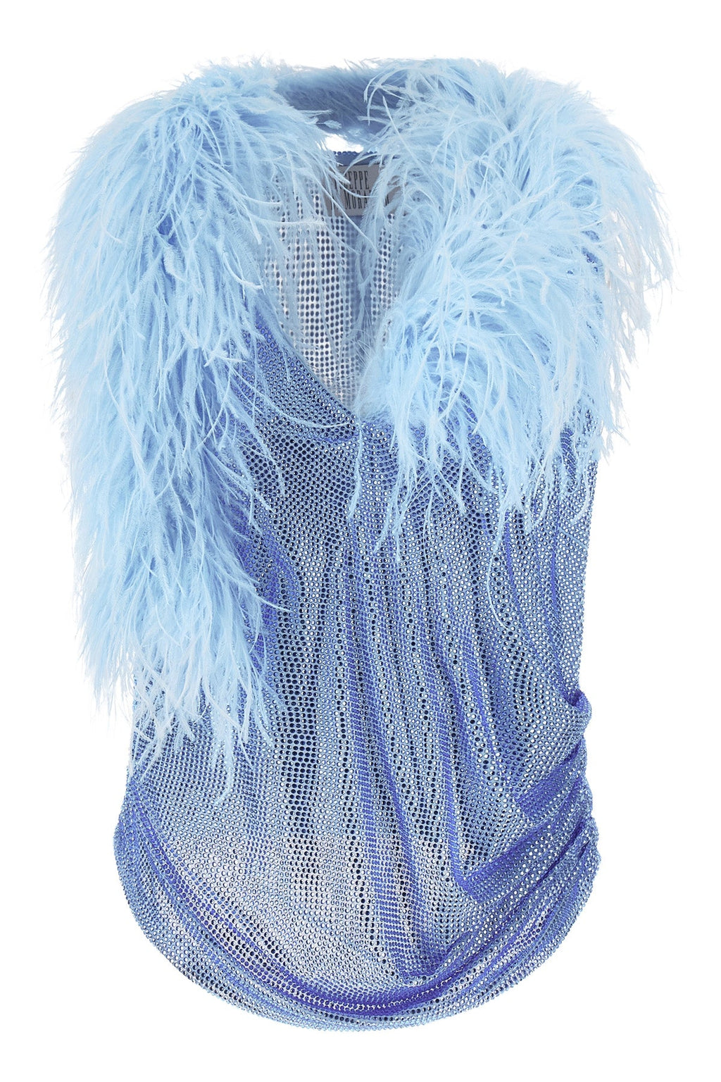 Mesh and Feather Top