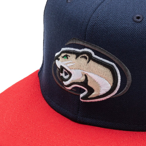 "Hometown Heroes" Basketball Cap - Blue