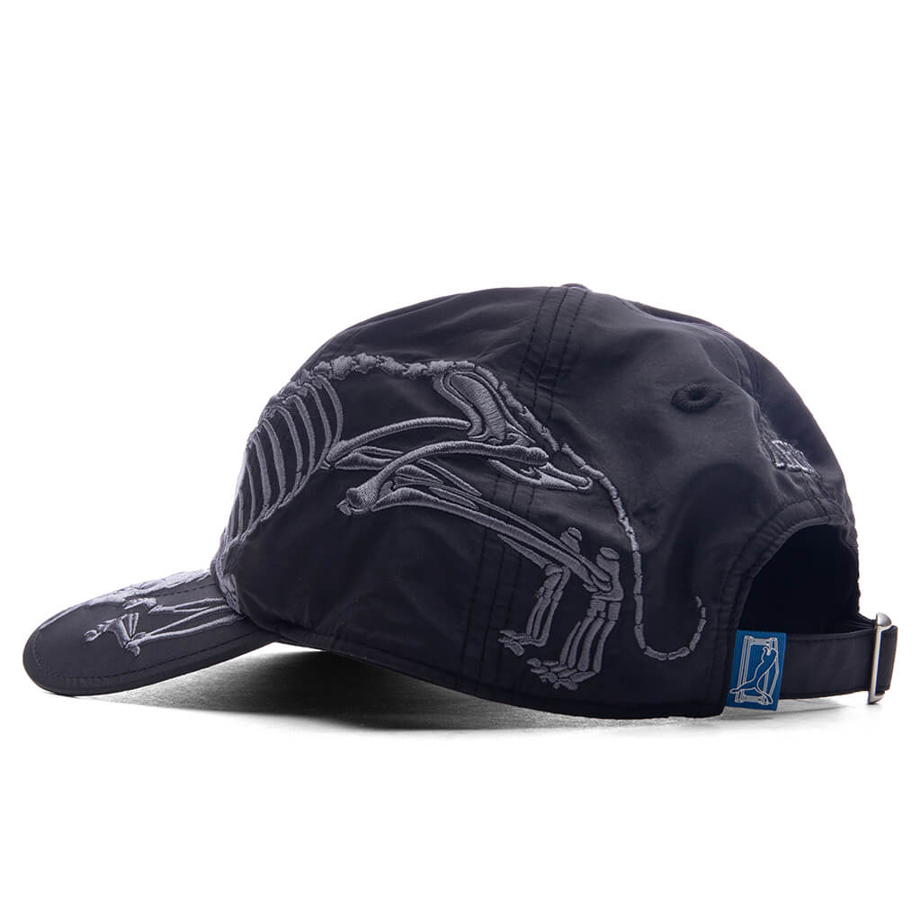 6-Panel - Black