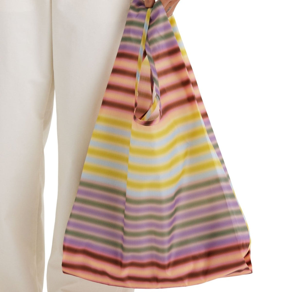 Baggu Standard Bag in Gradient Stripe Multi