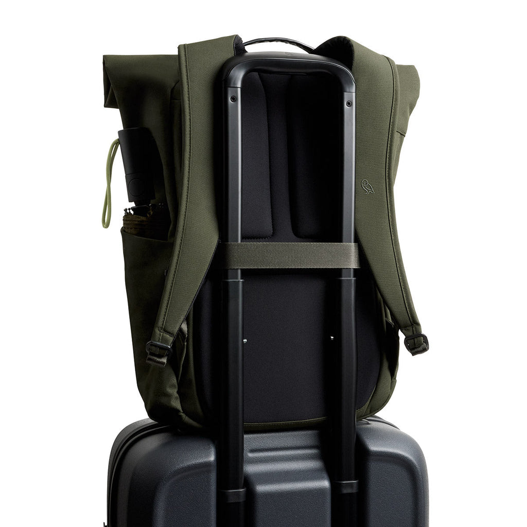 Bellroy Classic Rolltop 26L in Olive
