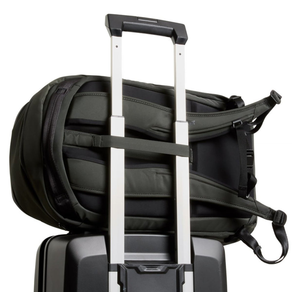 Bellroy Transit Workpack 26L in Olive
