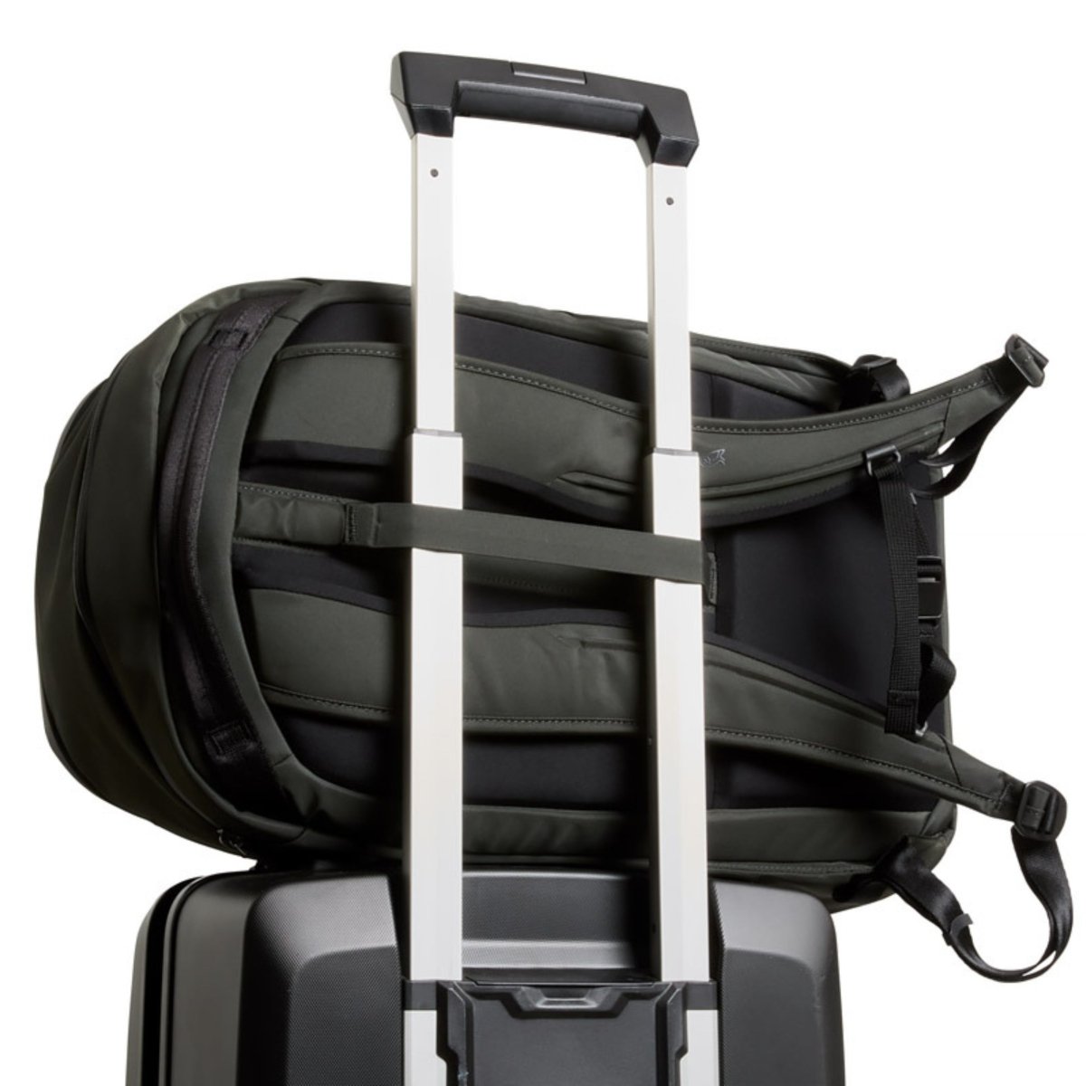 Bellroy Transit Workpack 26L in Olive