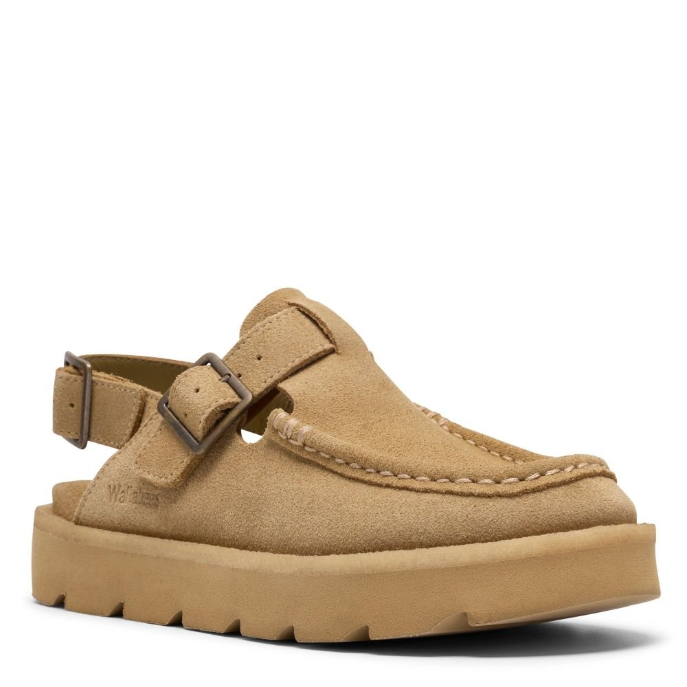 Clarks Women's Meare Easy in Maple Suede