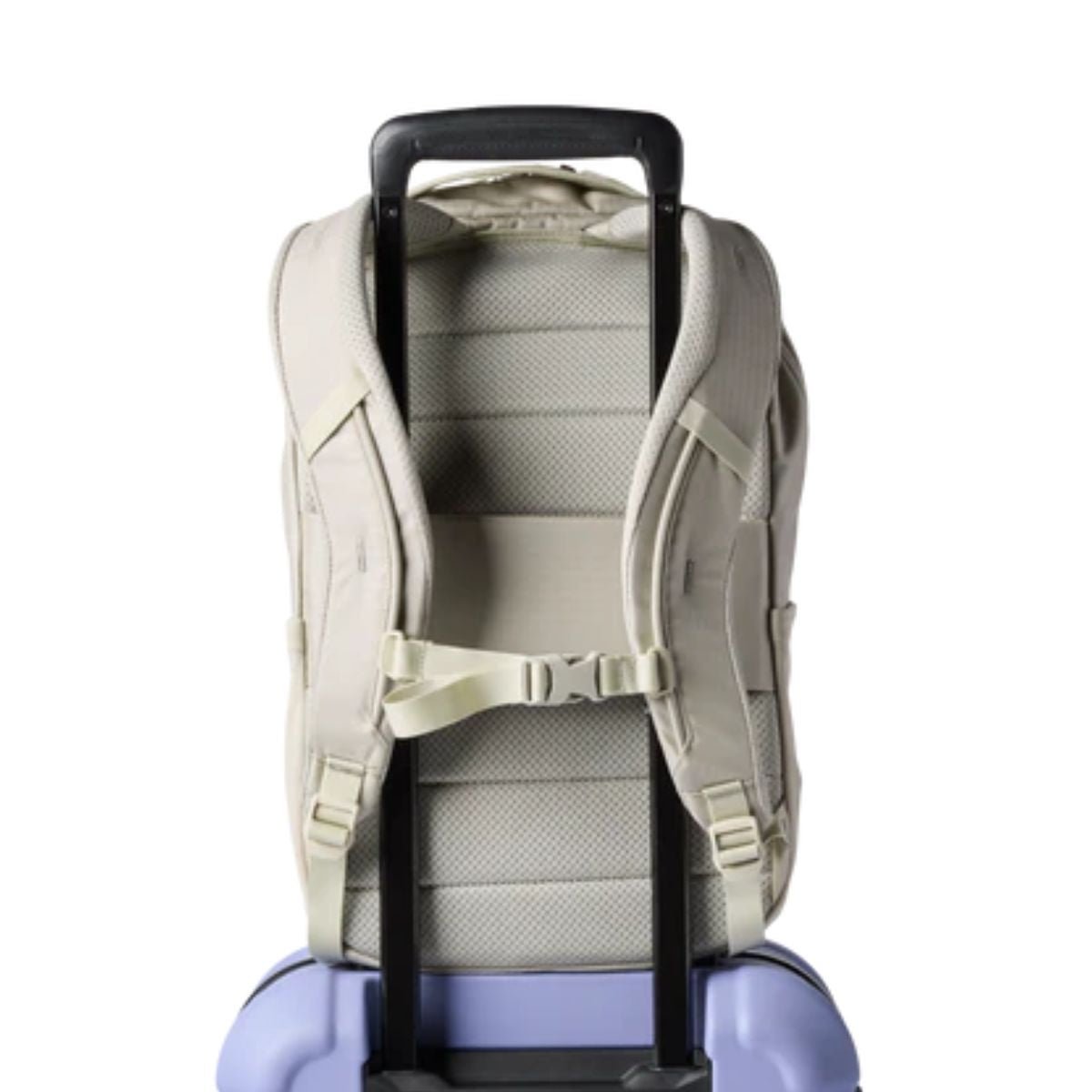 Cotopaxi Allpa 18L Daypack in Mineral