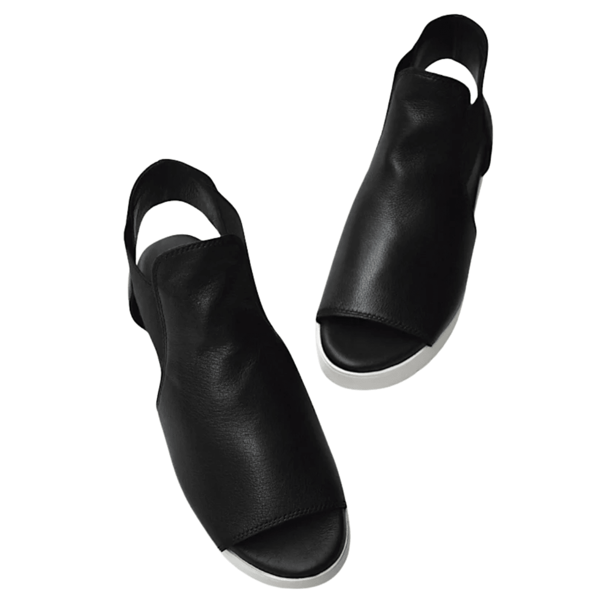 Django & Juliette Women's Ozie in Black/White