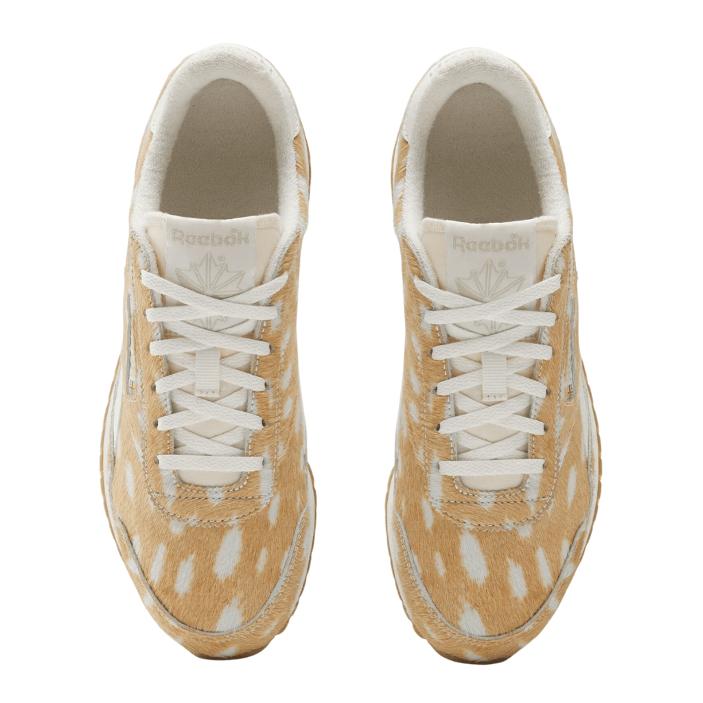 Reebok Women's Classic Az in Chalk/Espresso/Gum
